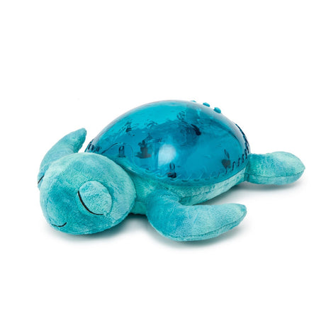 Tranquil Turtle