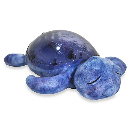 Tranquil Turtle