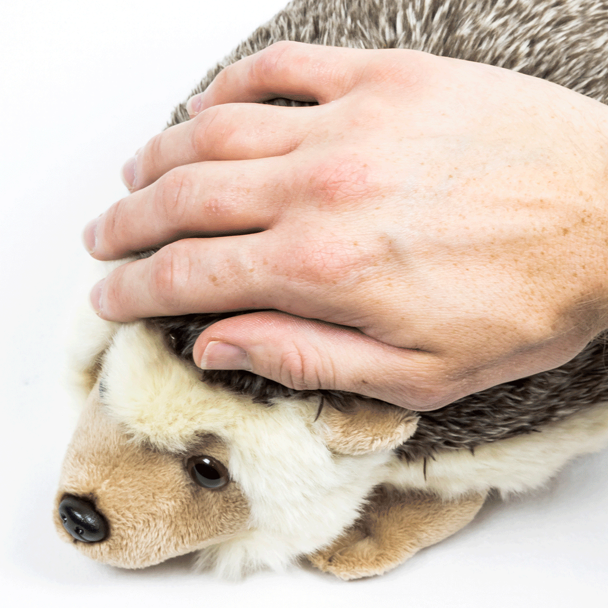 Hedgehog Weighted Stuffed Animal