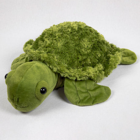 Weighted Turtle