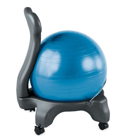 Modern Ball Chair with Locking Casters