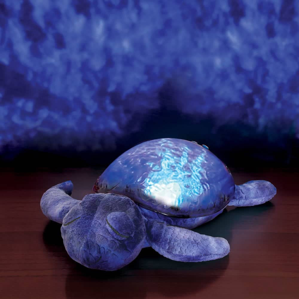 Tranquil Turtle