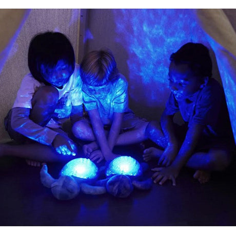 Calming Sensory Tent Kit with turtle